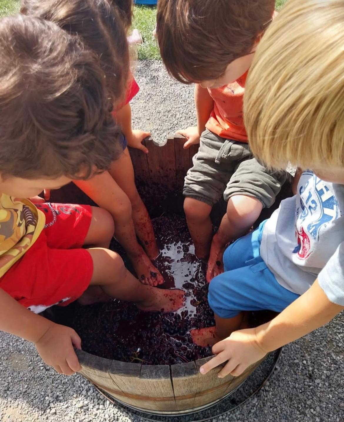 Outdoor Education